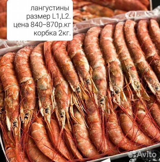 Рыба и морепродукты