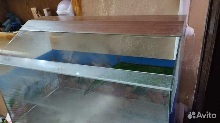 Аквариум для красноухой черепахи бу