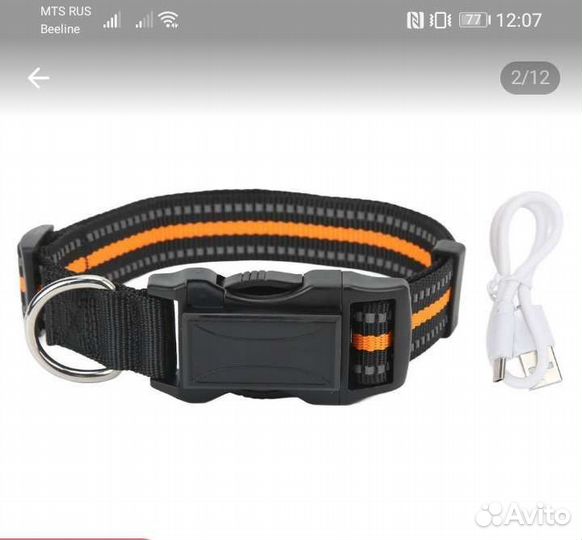 Gps ошейник для собак