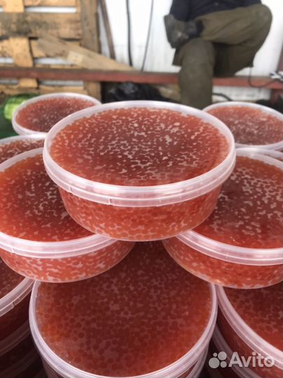 Красная икра 2023 горбуша