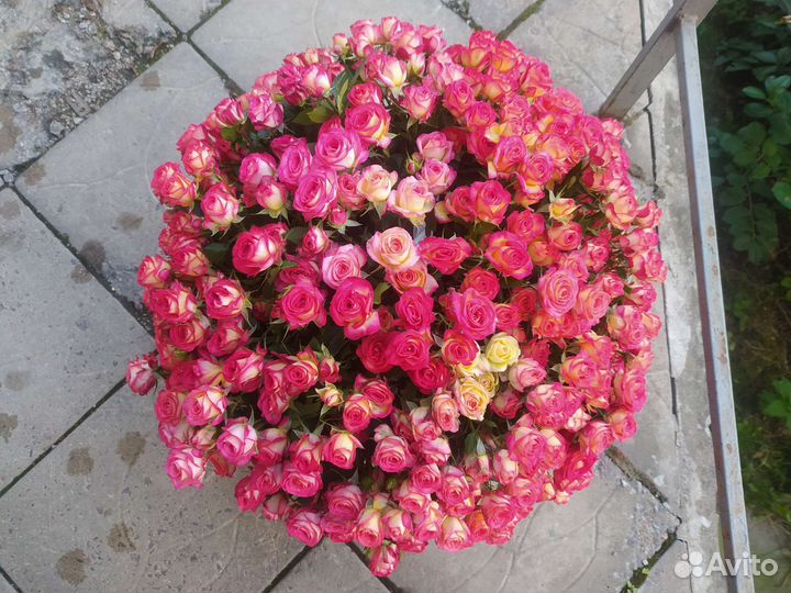 Розы, цветы с доставкой