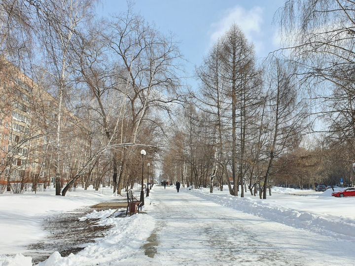 Квартира-студия, 32,4 м², 8/17 эт.