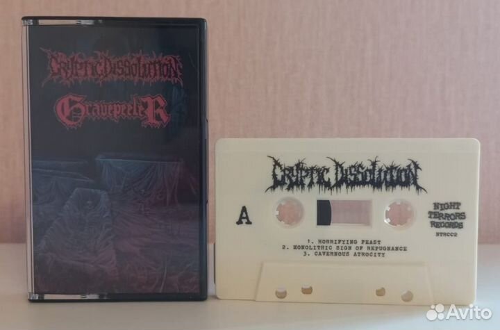 Cryptic Dissolution / Gravepeeler – Split