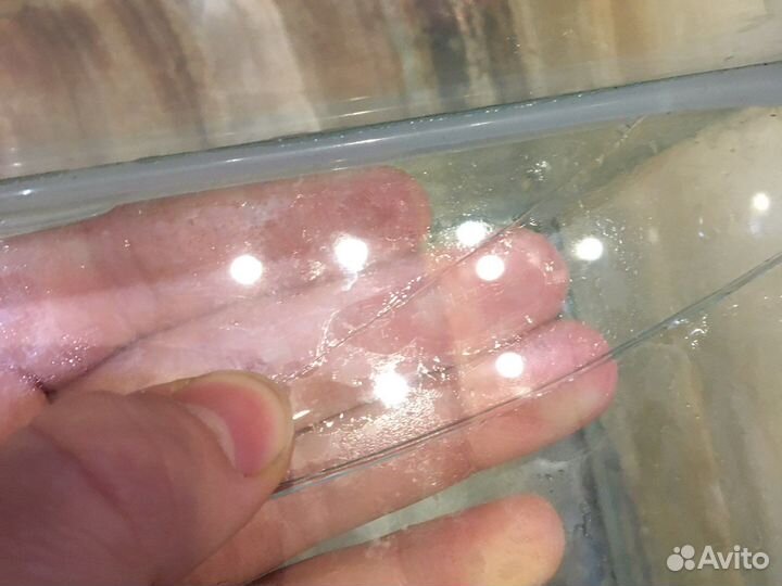 Аквариум для морской красноухой черепахи