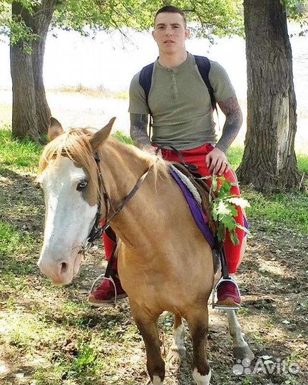 Свой человек в Москве