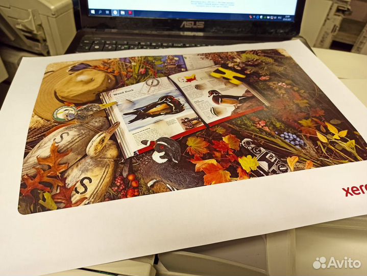 Мфу Xerox WorkCentre 7556 300 гр SRA3+