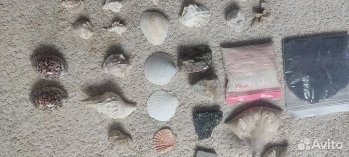 Ракушки, камни, песок