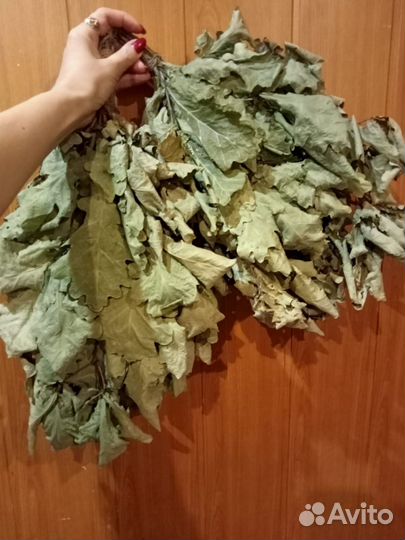 Дубовые веники для бани