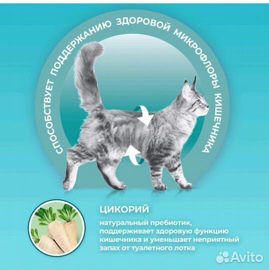 Сухой корм для кошек Purina one 3 кг