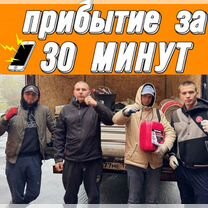 Грузчики, Санкт-Петербург