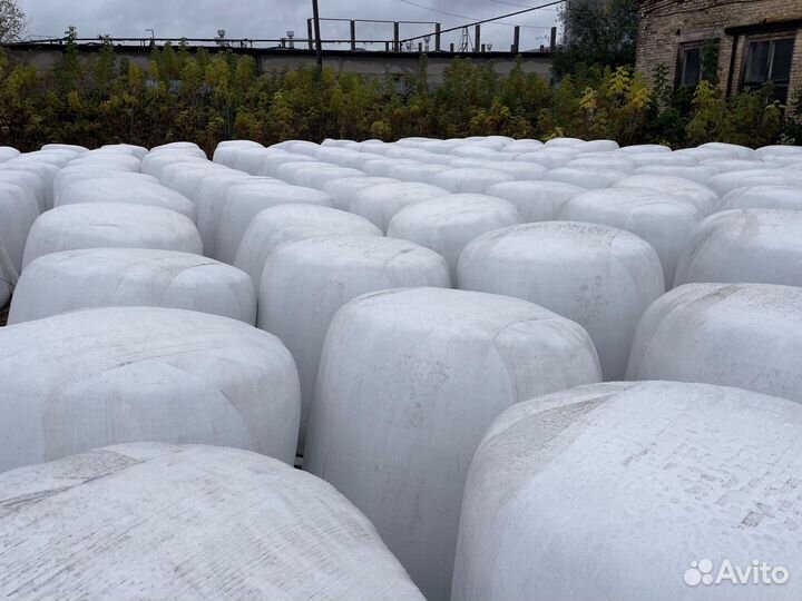 Жом свекловичный