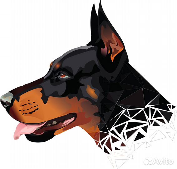 Отрисовка в векторе