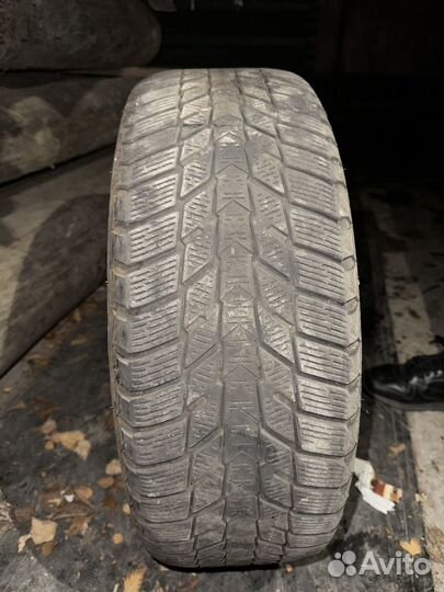 Nexen Winguard Ice Plus 205/55 R16