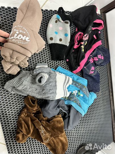 Одежда для собак мелких пород