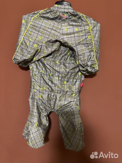 Одежда для собак