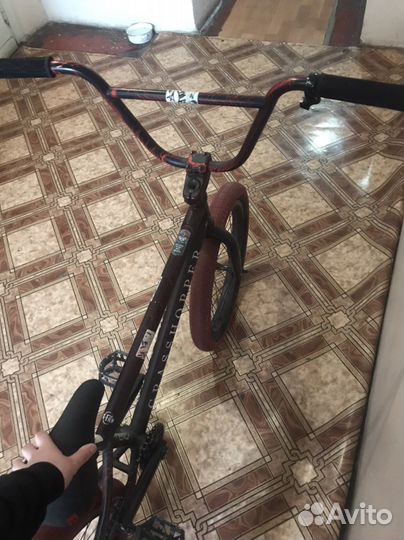 BMX Grasshopper tech team