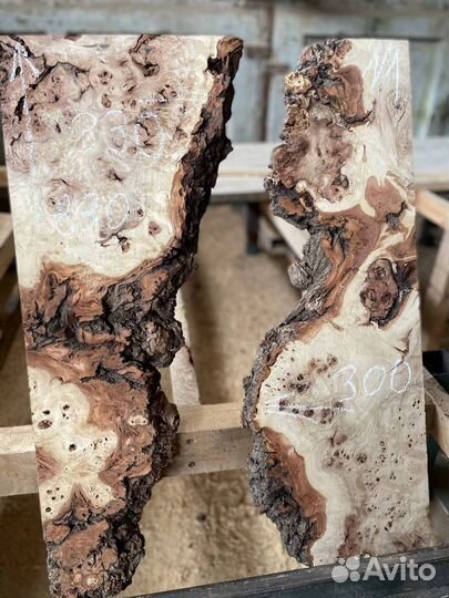 Заготовки из капового тополя под заливку