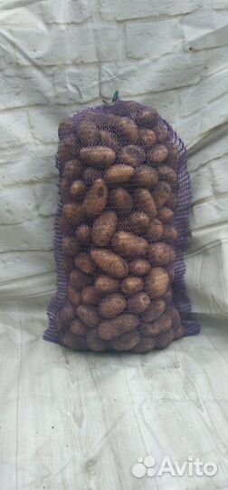 Продам картофель