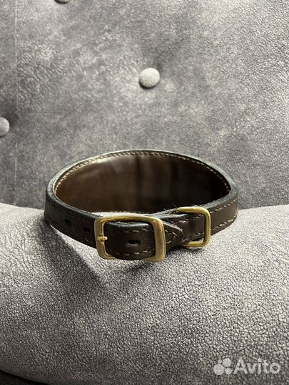 Ошейник для собак