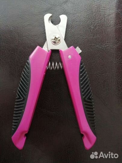 Принадлежности для собаки