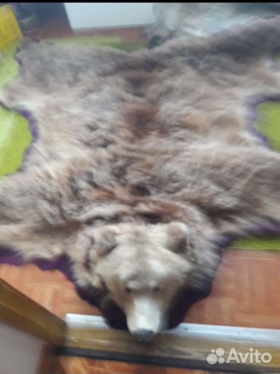 Шкура медведя имитация