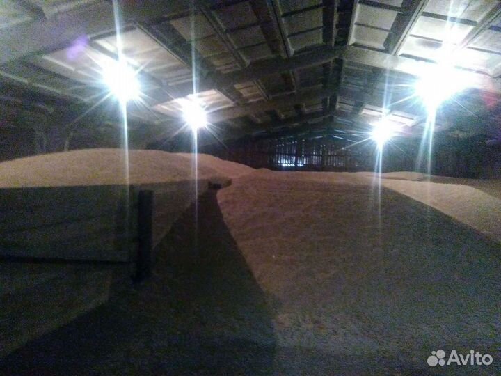 Зерно пшеница, ячмень, овес, соя