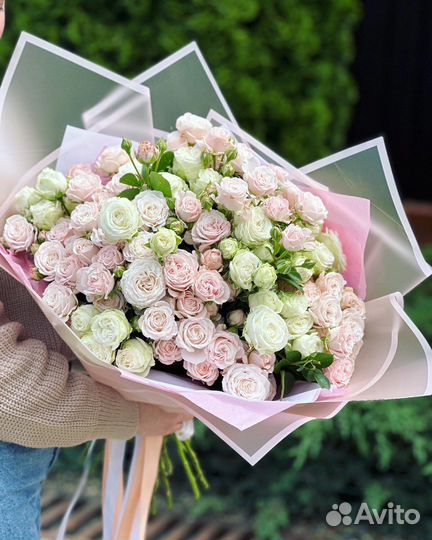 Розы, цветы