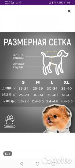 Одежда для животных