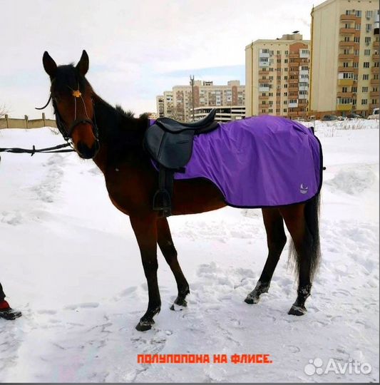 Новогодние Попоны для лошади