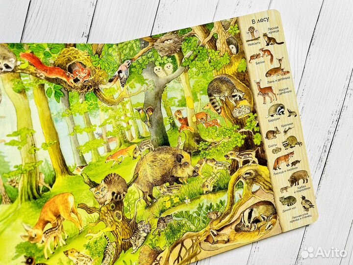 Большие виммельбухи с животными