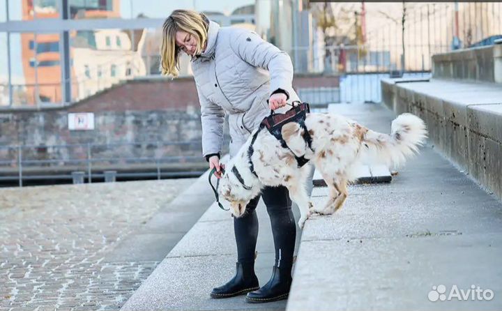 Шлейка для собаки rock harness long