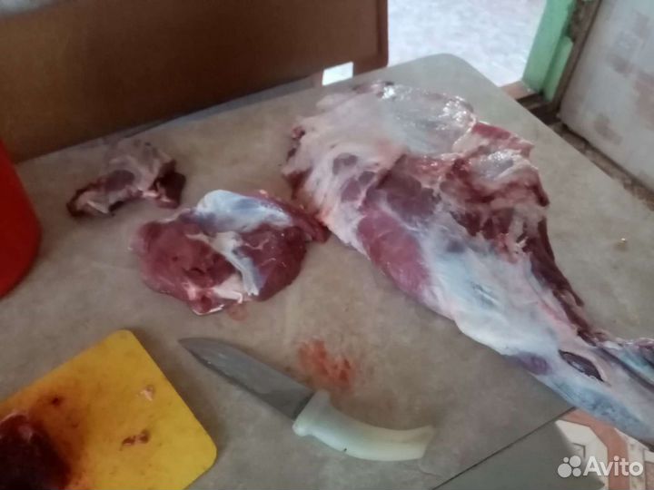 Поросят, мясо свинина