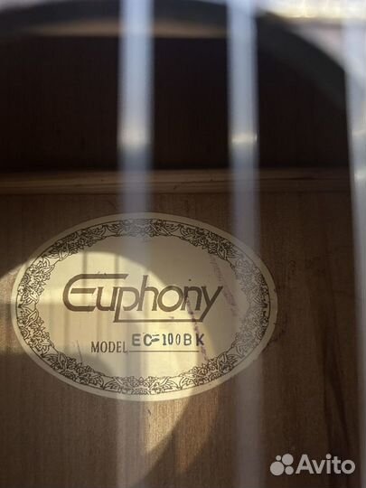 Акустическая гитара euphony