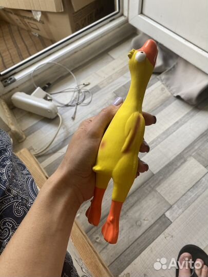 Резиновая утка