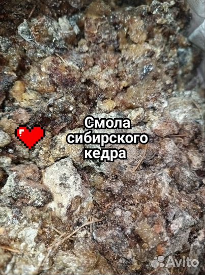 Кедровая живица сибирская