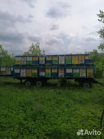 Продам пчелоприцеп