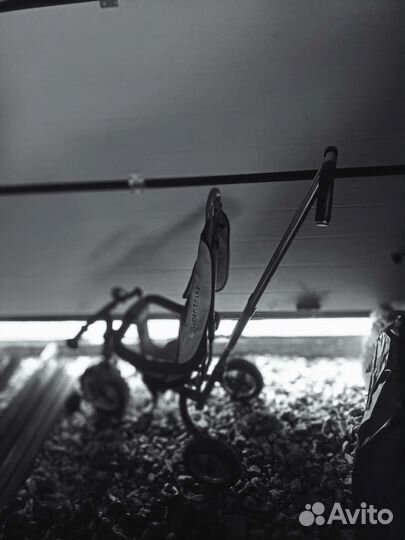 Велосипед трость