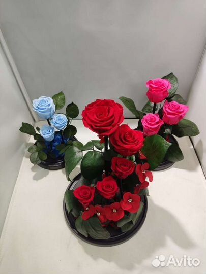 Роза в колбе