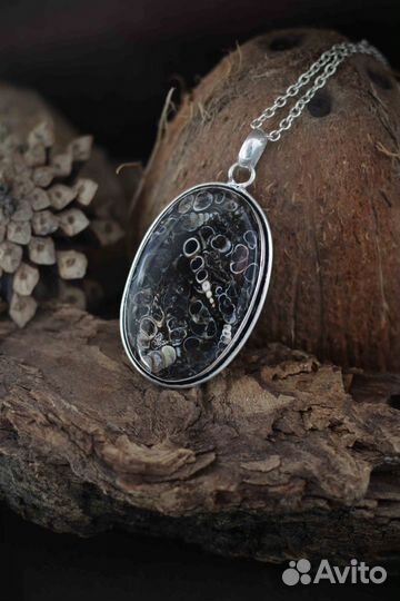 Кулон с окаменелыми раковинами Туррителла