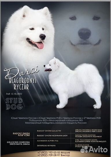 Белое облачко