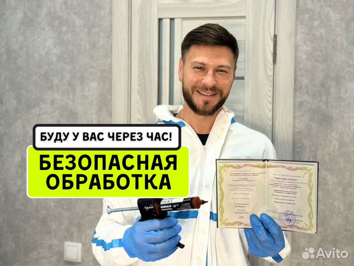 Уничтожение тараканов, клопов. Дезинфекция