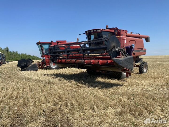 Уборка подсолнечника 2023