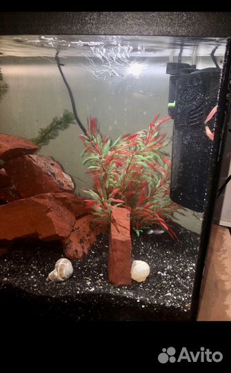 75 литров полный комплект аквариум