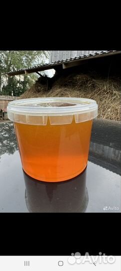 Свежий мед 2024