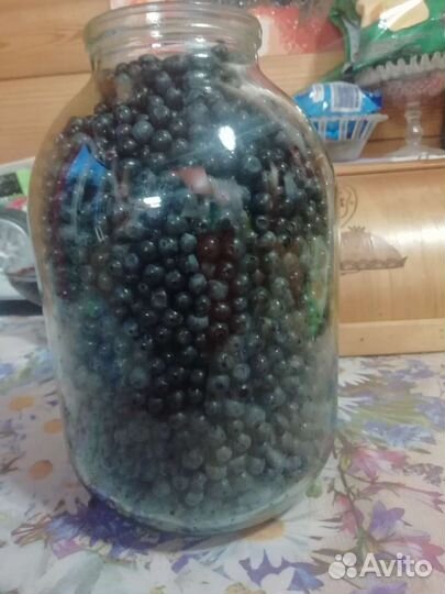Свежая черника