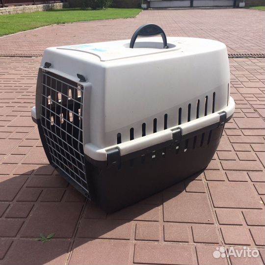Переноска для животных бокс #3 аренда прокат