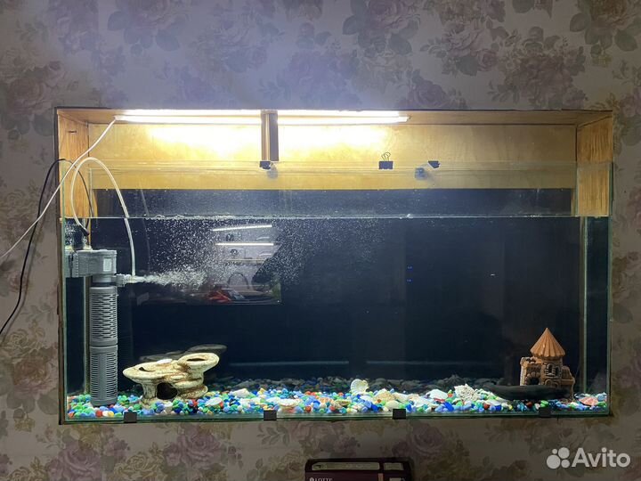 Аквариум с рыбками