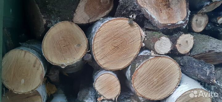 Дрова сухие: берёза, дуб, яблоня, слива, тополь