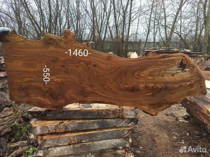 Слэб карагача