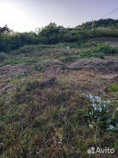 Продам сено